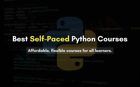Best Self-Paced Python Programming Courses for Beginners and Professionals
