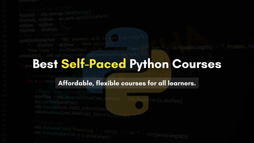 Best Self-Paced Python Programming Courses for Beginners and Professionals