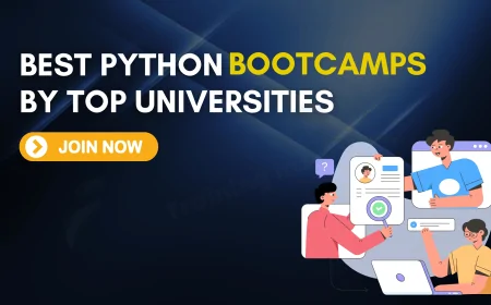 Top Python Bootcamps by Renowned Universities | Learn Python Fast