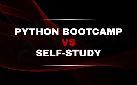 Python Bootcamp vs Self-Study | Which Is Best for Your Career in 2025?