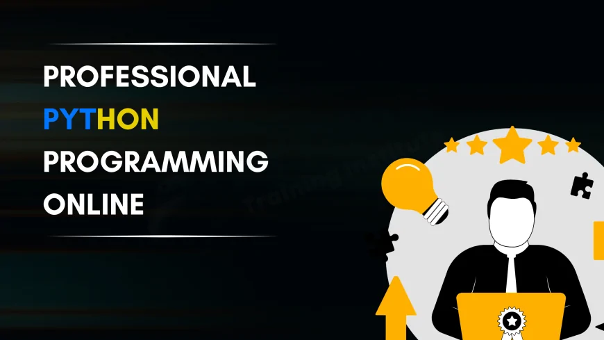 Professional Python Programming Courses Online | Learn Python with Certification