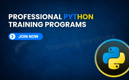 Professional Python Classes Available in Pune |  Advanced Python Programming Classes in Pune