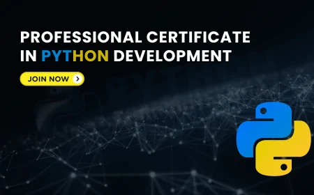 Professional Certificate in Python Development Pune | Python Development Professional Certification Program Pune
