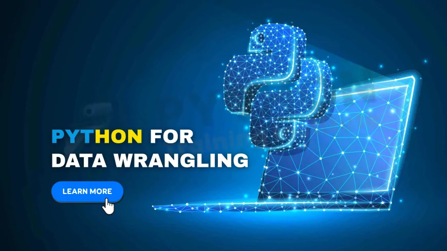 Learn Data Wrangling with Python in Pune | Beginner to Advanced Data Wrangling in Python – Pune