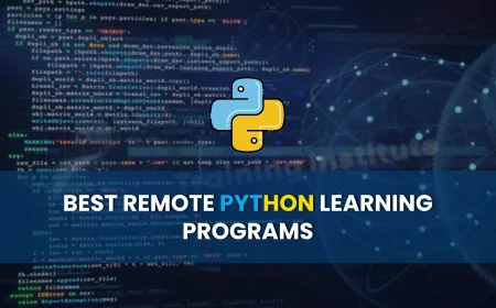 Best Remote Python Learning Programs Pune